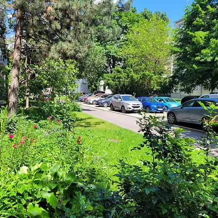 Apartament Cozy And Quiet In Wider Center